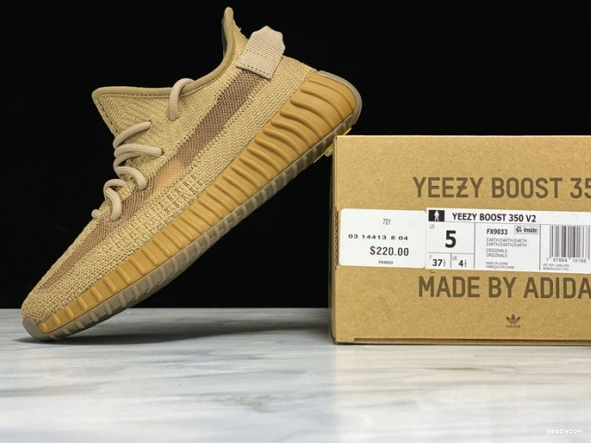 Earth Boost Adidas Yeezy 350 FX9033 V2 0818